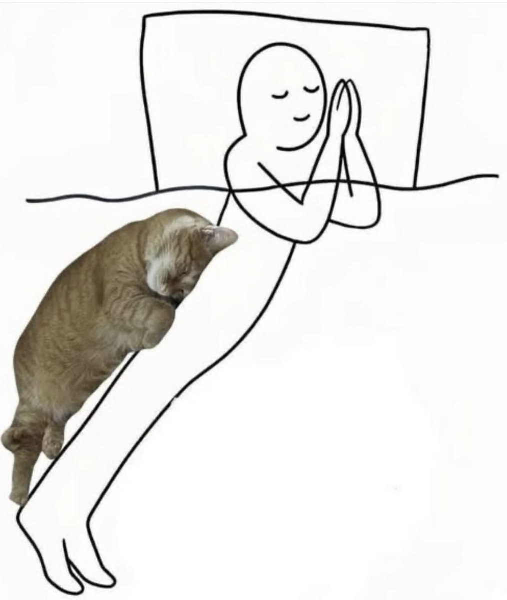 gatinarios's tweet image. a posição que eu vou dormir depende de como ele quer dormir