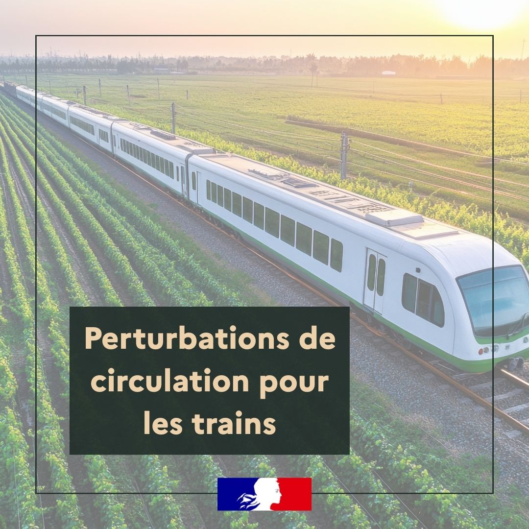 Image de Préfet de la Marne - #Trains 

En raison de la tempête Goretti et des alertes Météo-France , les lignes seront interrompu