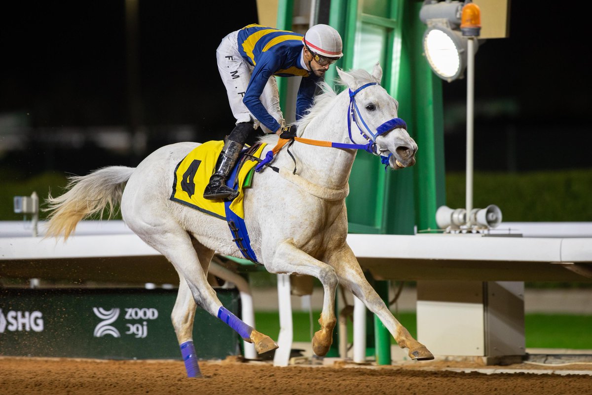 ميدان الأمير سلطان tweet media