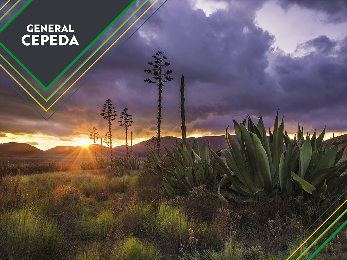 ¡Tu primera escapada del 2026 es en nuestro #PuebloMágico! 🤠🌵😍

Inicia el año conectando  los paisajes de #GeneralCepeda, toma carretera y lánzate para nuestro pueblo! 👏👏👏

#GeneralCepedaEsParaTi #SorpréndeteConCoahuila #PuebloMágico #Coahuila