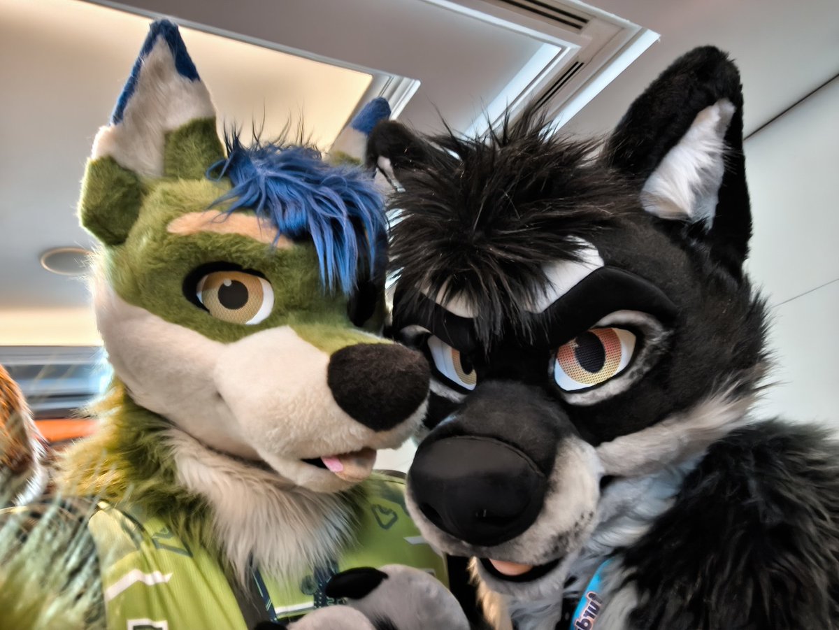 Wufuzz ➡️ ThaiTails 🇹🇭 tweet media