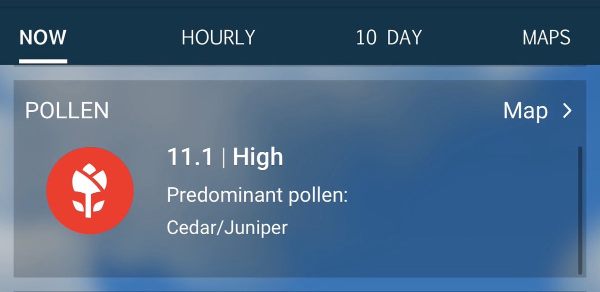 Savysummer's tweet image. Calm the fuck down Texas….We get it. You’re well pollinated 🤧😭😂 #allergies #cedarfever