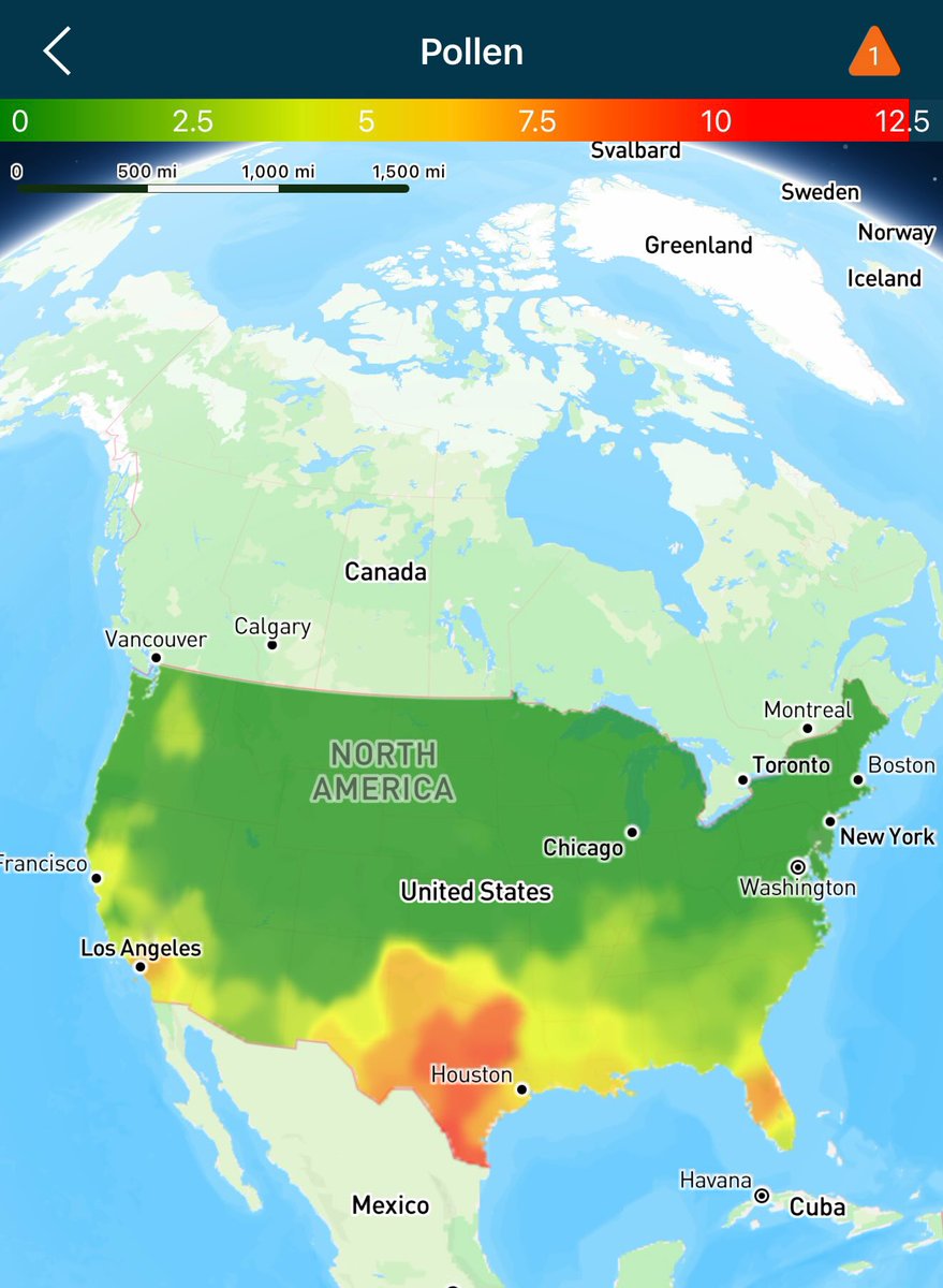 Savysummer's tweet image. Calm the fuck down Texas….We get it. You’re well pollinated 🤧😭😂 #allergies #cedarfever