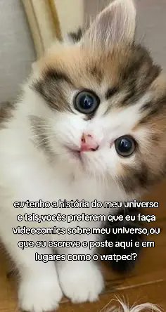 Moon_Amonaki tweet media