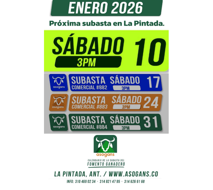 LocalPintada's tweet image. Compartimos el calendario de la subasta del Fomento Ganadero para el mes de enero de 2026.
#construyendoganadería @Fedegan  @jflafaurie @PL_TAME