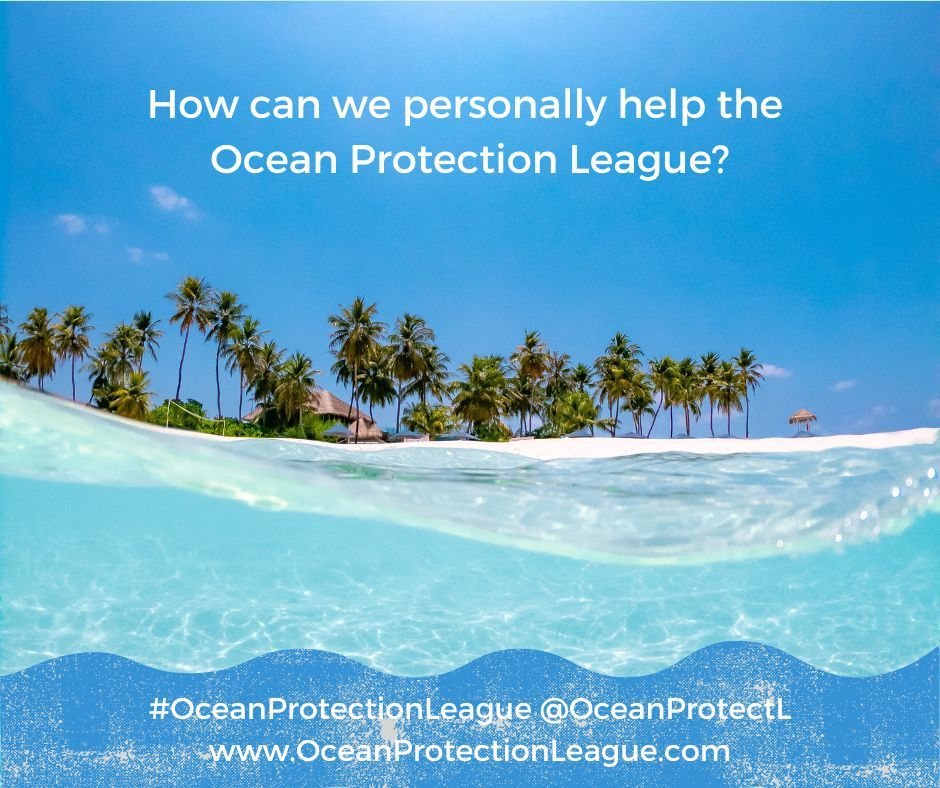 How can we help the Ocean Protection League? buff.ly/4abdSz8 

#OceanProtectionLeague #SaveTheOcean #ocean #beach #nature #sea #travel #love #sky #water #climatechange #Sustainable 🌊 🐟 🪸 🦈