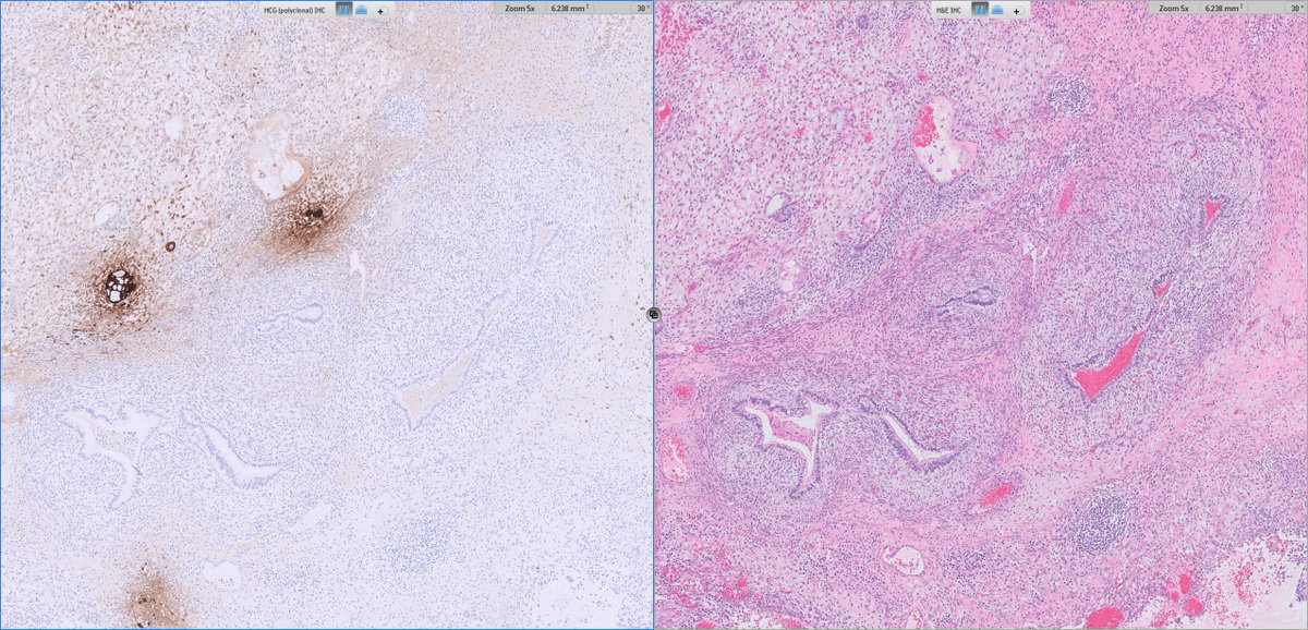 Ankur Sangoi tweet media