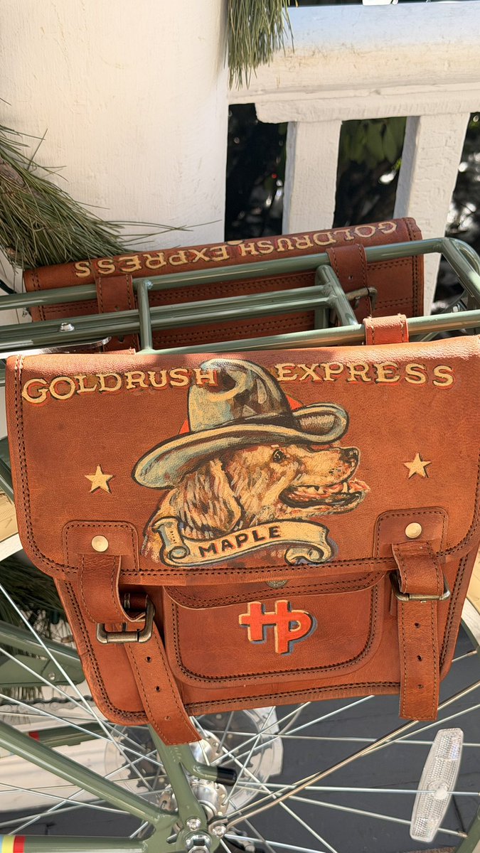 KJP's tweet image. A friend painted custom saddle bags for my kid’s bike.  Perfect built for rocks, treasures, snacks, frogs, candy, a cap gun, and God only knows what else.