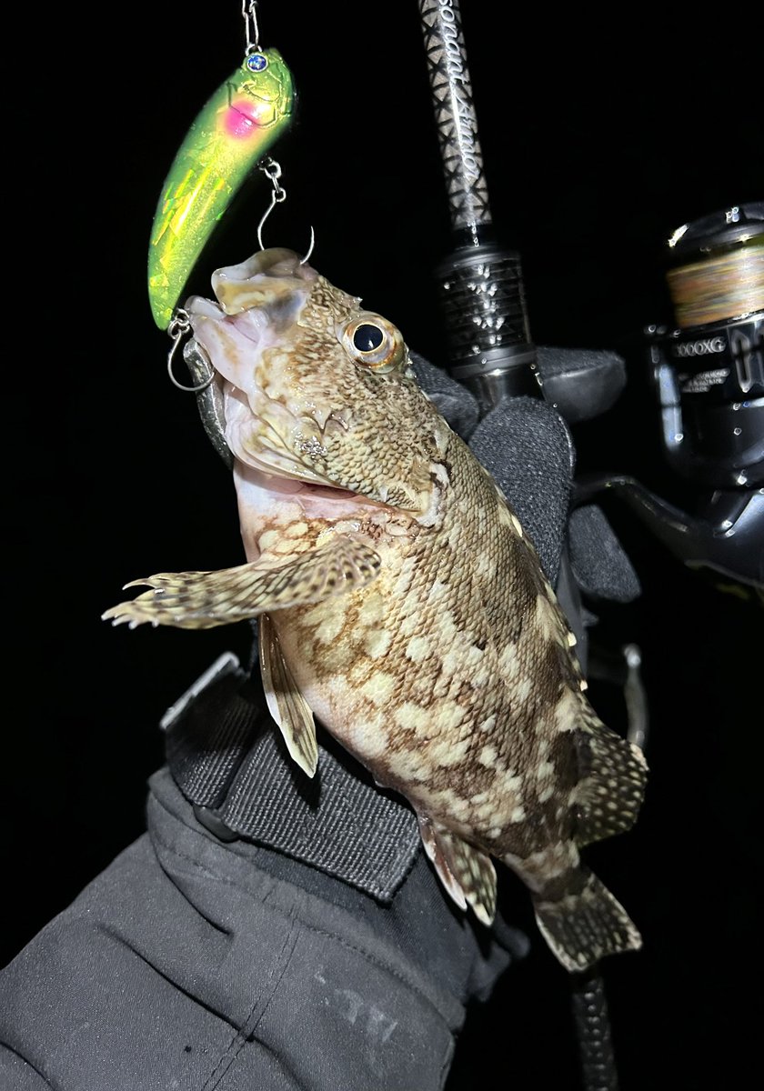 RenZouru98038's tweet image. #エビコン60s
プラグを指一本で撫でる様な(・ω・｀)違和感
コレがバイト
気付いたらボトムから30cm浮かすイメージでホバリングロングステイ…クッ！
ワームでは不可能
猛烈な苦しさの中、魚を掛けれたのはエビコン60sだった
真冬真夜中厳冬期最強プラグ
このプラグ、ワーム超えてる…