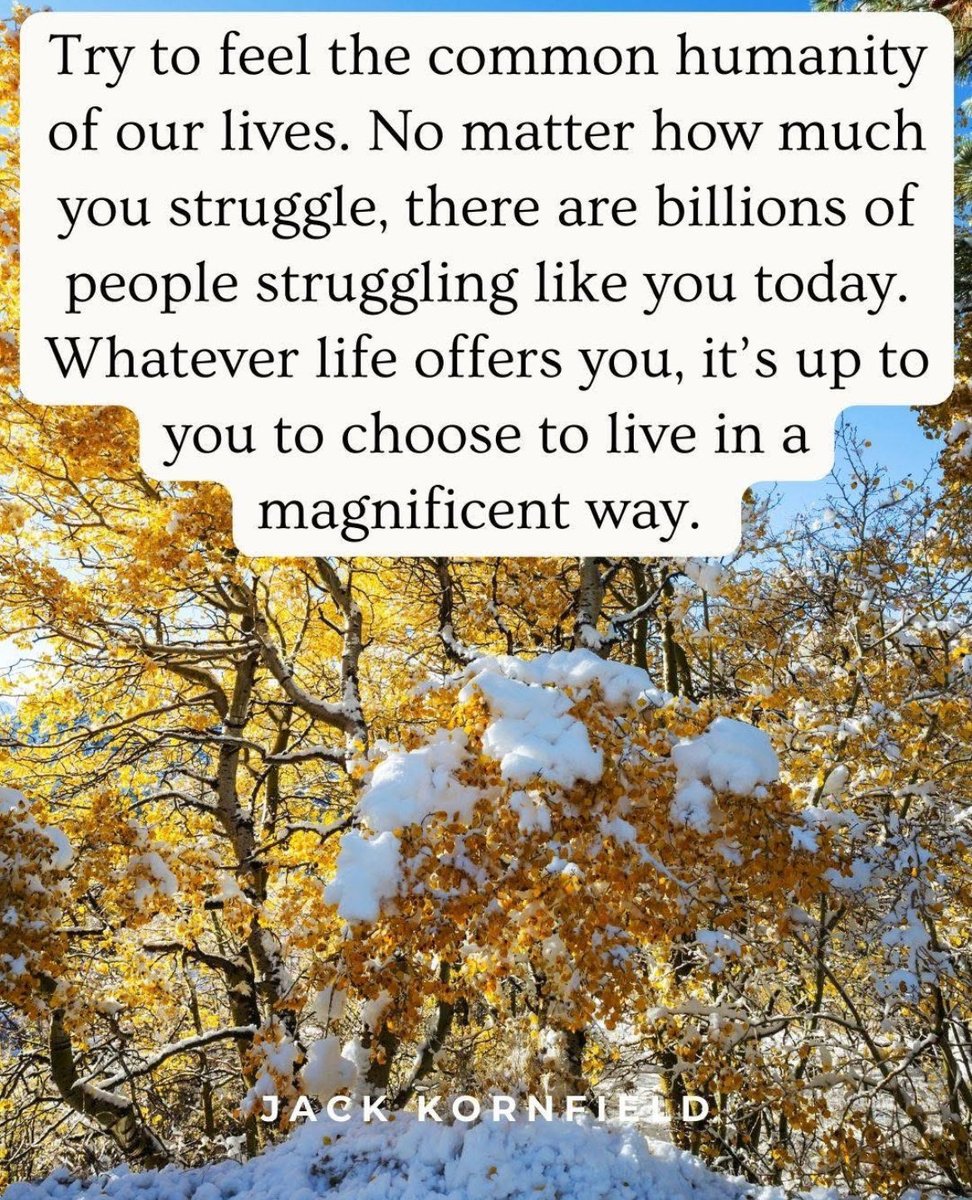 Life will give us our measure of joys and sorrows. It’s up to you to live in the most loving, compassionate, and wise way possible. 🌊🧘‍♀️

#wisdom #spiritualpath #nirvana #yoga #jackkornfield