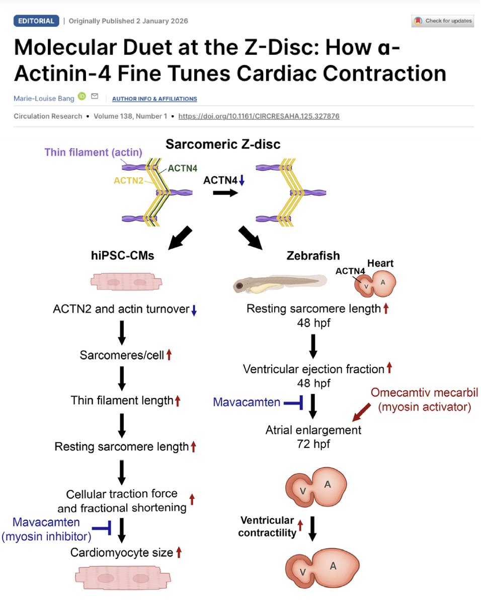 Dylan Burnette tweet media