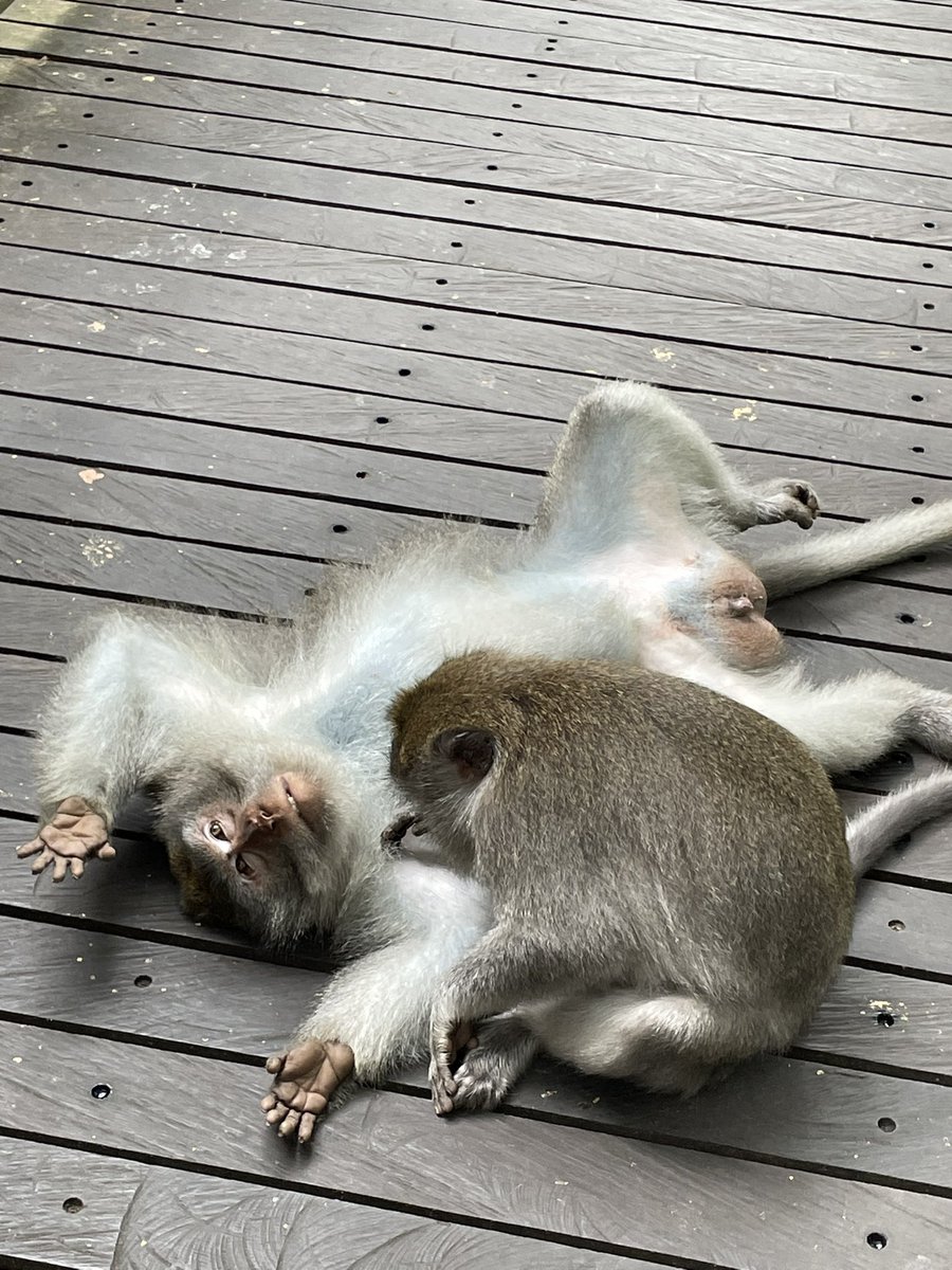 Update kehidupan yg lelah