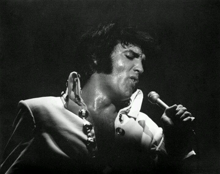 LPresley68's tweet photo. Happy birthday 🎂 

#ElvisPresley https://t.co/Lvt5zW2Tfr