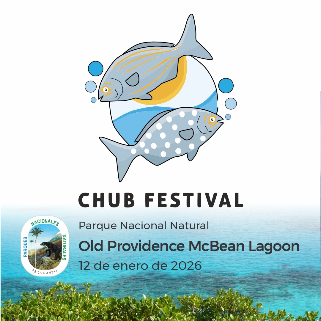 simbolo romanico, ermita de nuestra señora de Pineta, valle de Pineta, parque  nacional de Ordesa y Monte Perdido, Provincia de Huesca, Comunidad Autónoma  de Aragón, cordillera de los Pirineos, Spain, europe Stock, image size:1080x1080