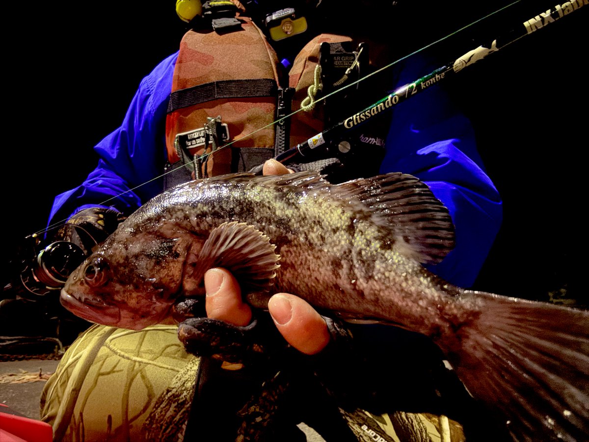 sulowlip's tweet image. #インクスレーベル #フェアリーテイル 
#グリッサンド #72コンベ 
ダダ巻きでクロソイとマッチング。