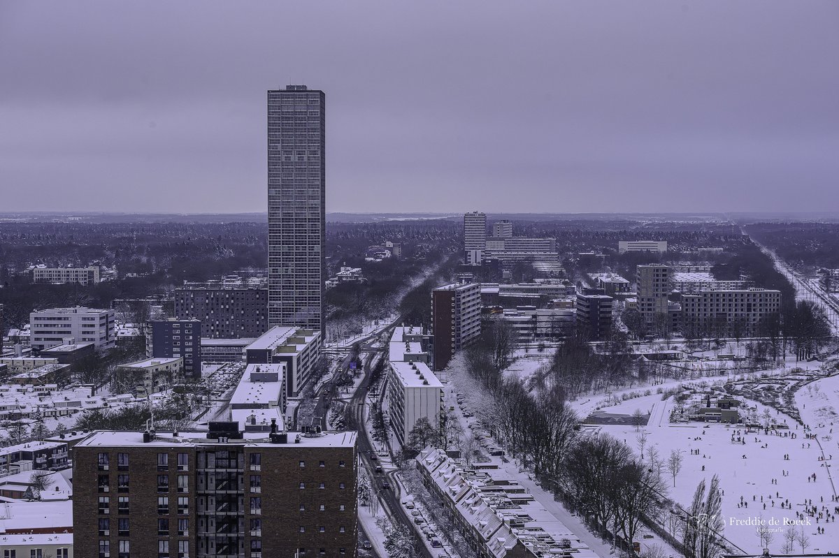 Freddie de Roeck tweet media