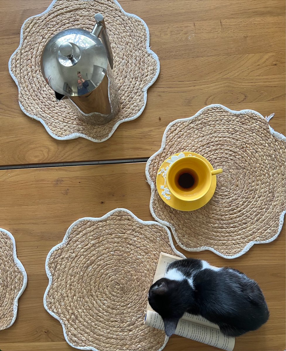 UCLA Math Project tweet media