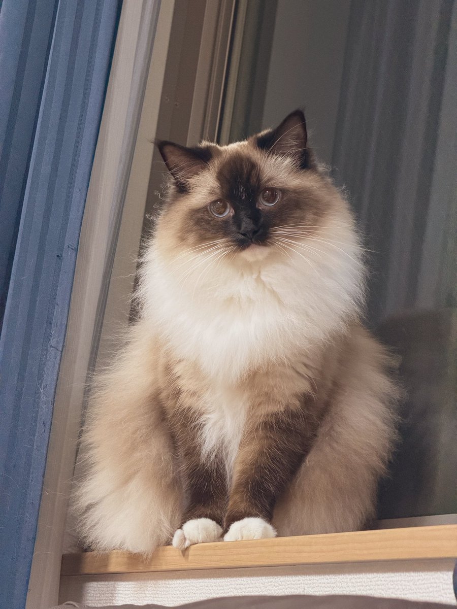 もるでお＠UMM.com (@deoxymole) / Posts / X