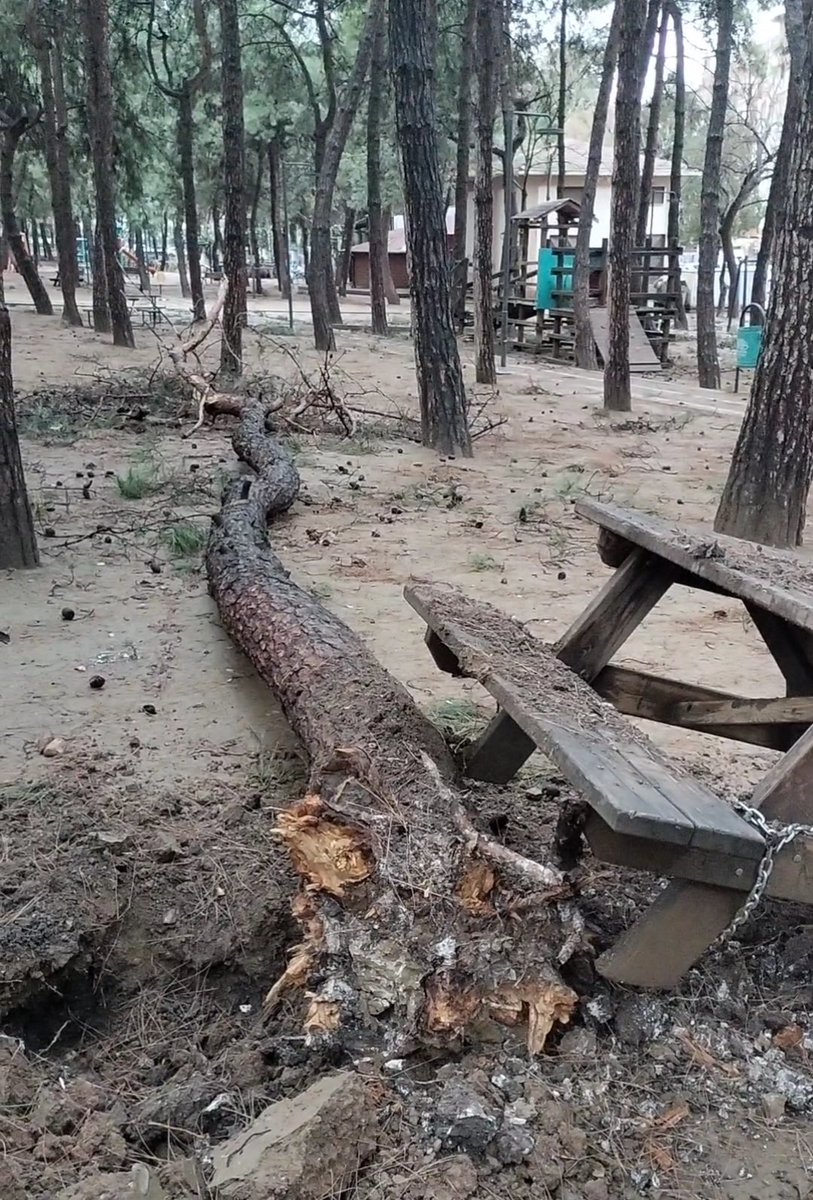 "Fırtına büyük ağaçları kökünden söker, zayıf otlara ise bir şey yapmaz.. Fırtına nice ağaçları koparsa da taze bitkiye ihsân eder."
Mesnevi şerif