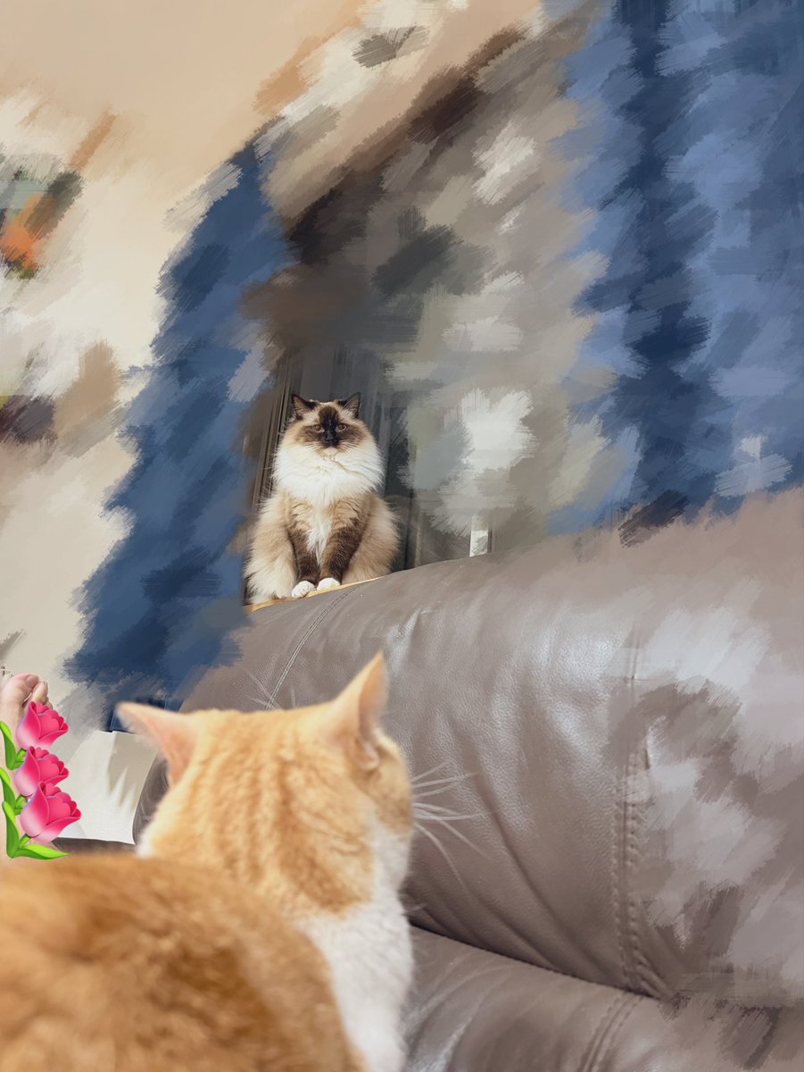 もるでお＠UMM.com (@deoxymole) / Posts / X