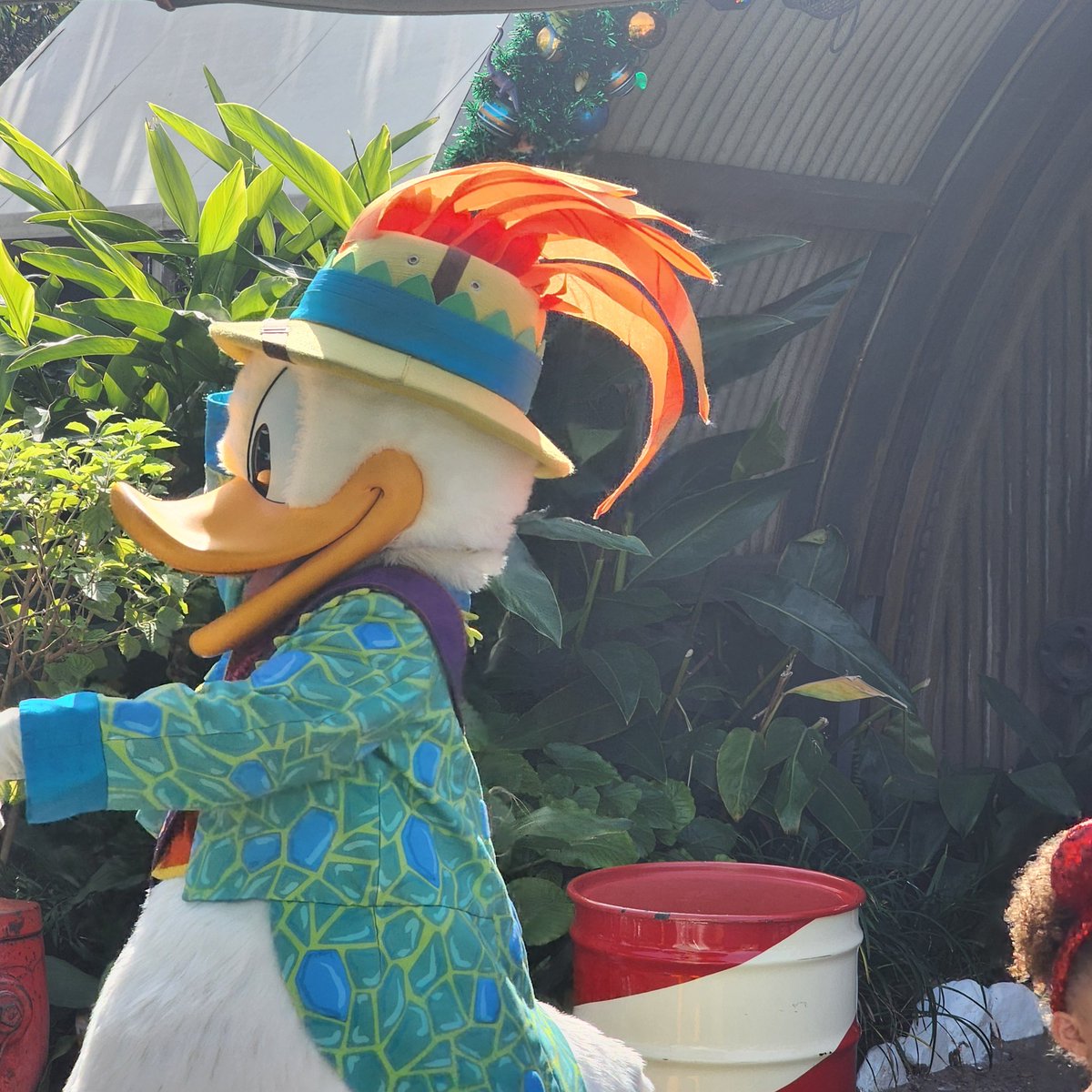 The duck is still doing Christmas