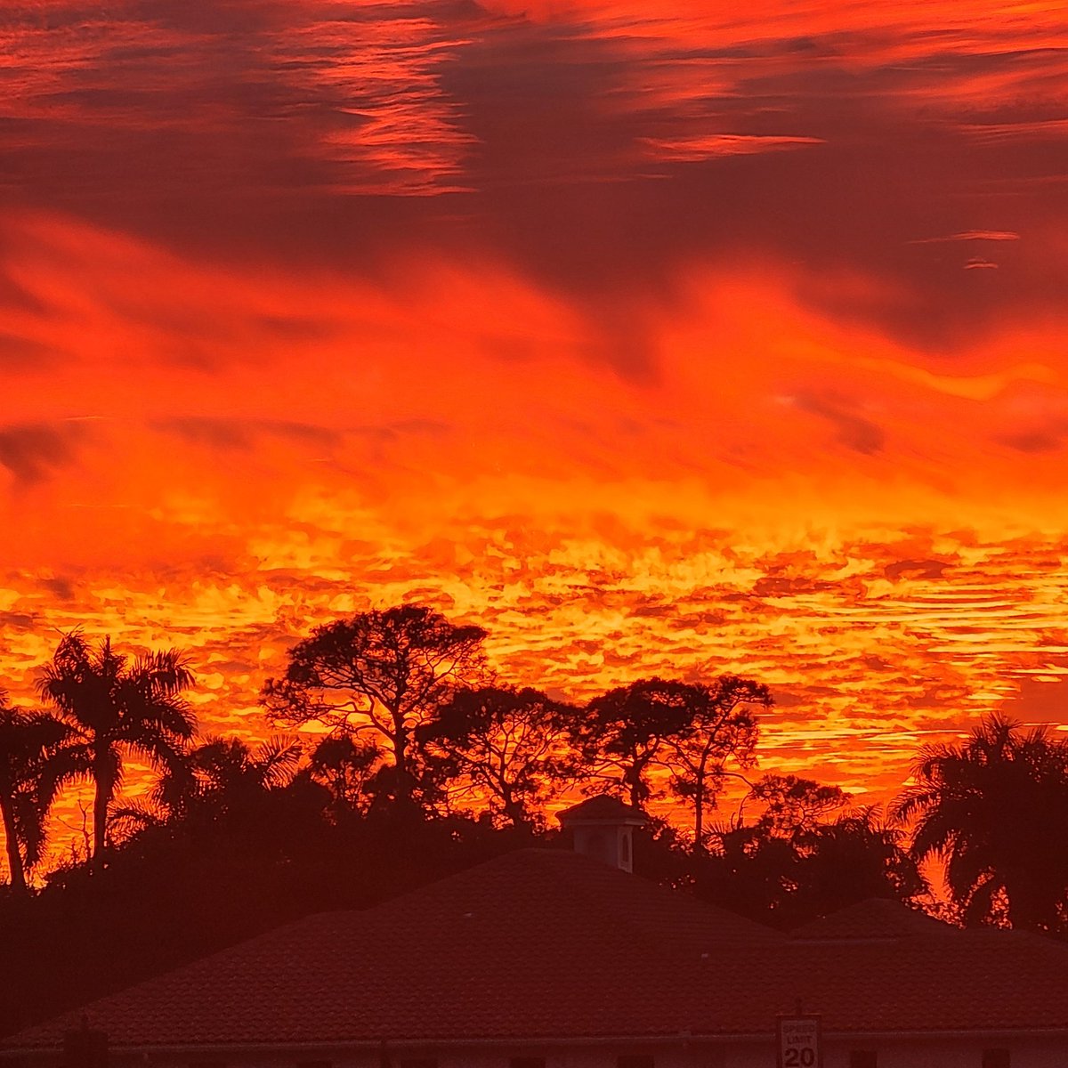 Florida skies