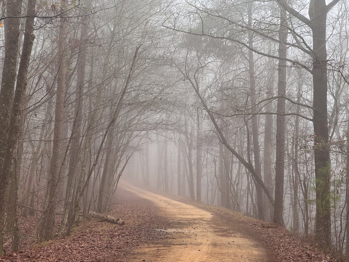 Rachel Callahan tweet media