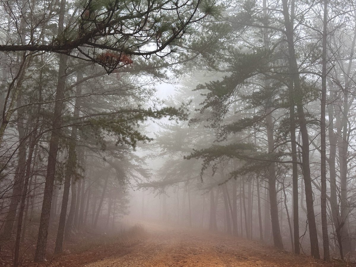 Rachel Callahan tweet media