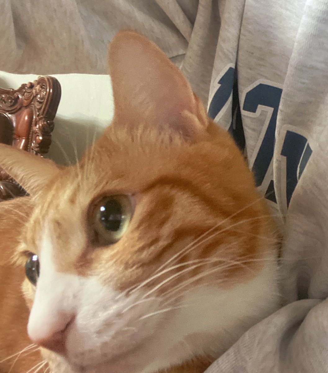 userlinoring's tweet image. "since he saw me after a while, he came over and started hugging me"

oh soonie...☹️☹️