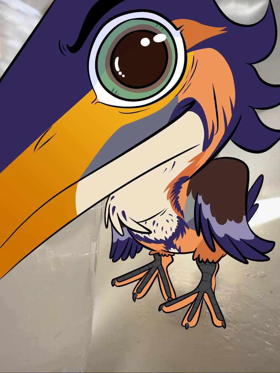 HatchThePigeon's tweet image. What your Ring camera picks up at 3am