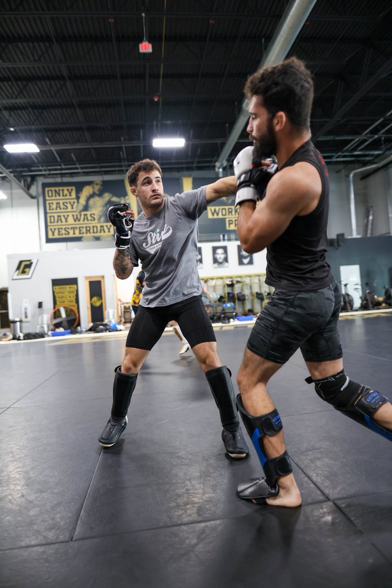 michaelblockhus's tweet image. 