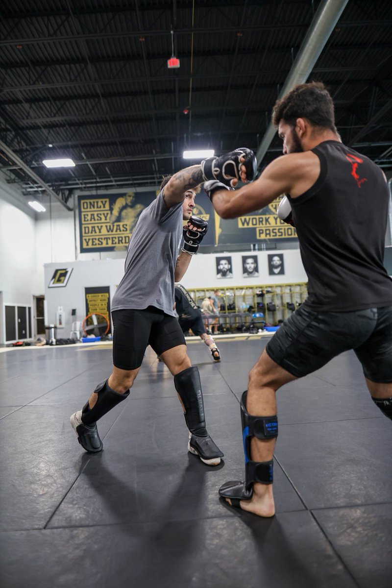 michaelblockhus's tweet image. 