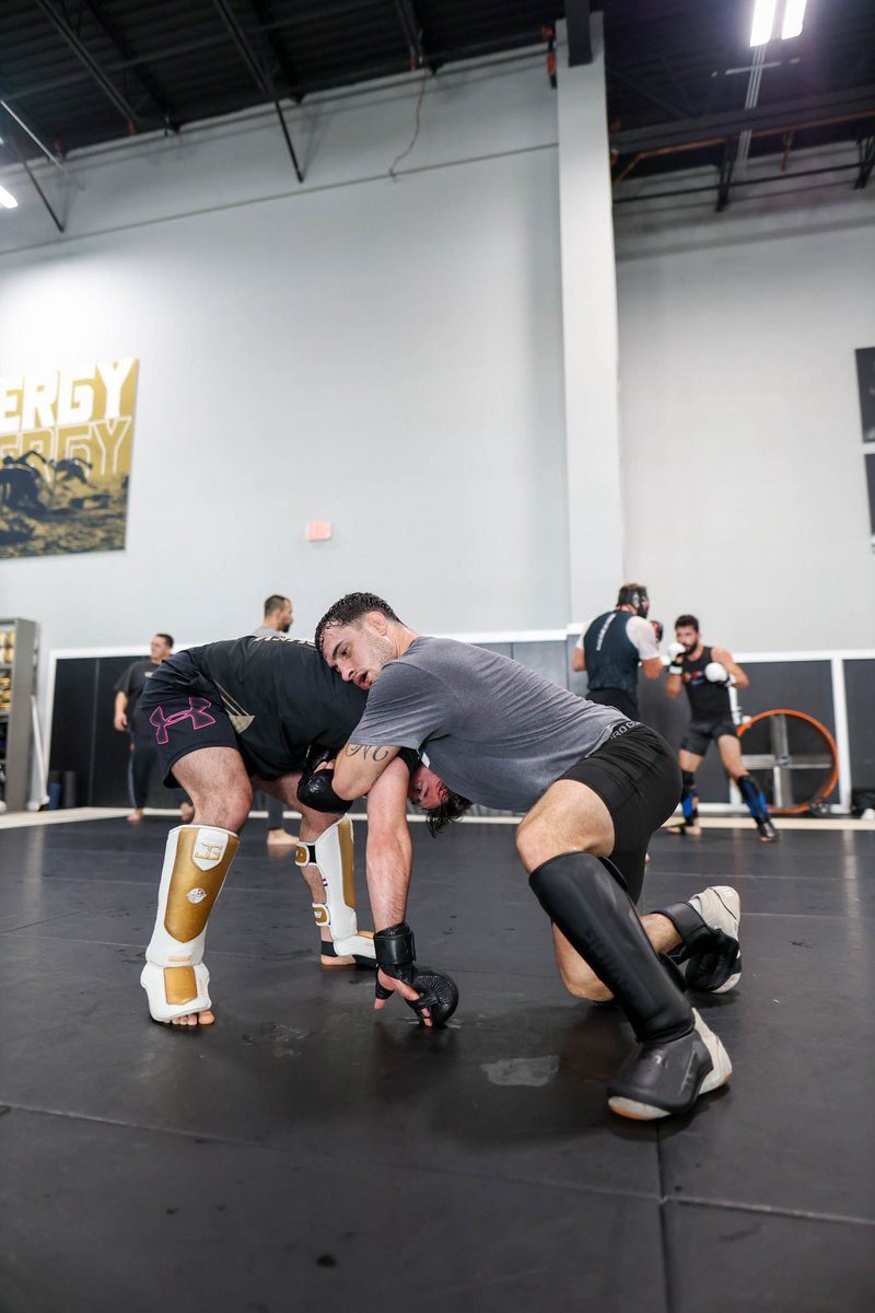 michaelblockhus's tweet image. 