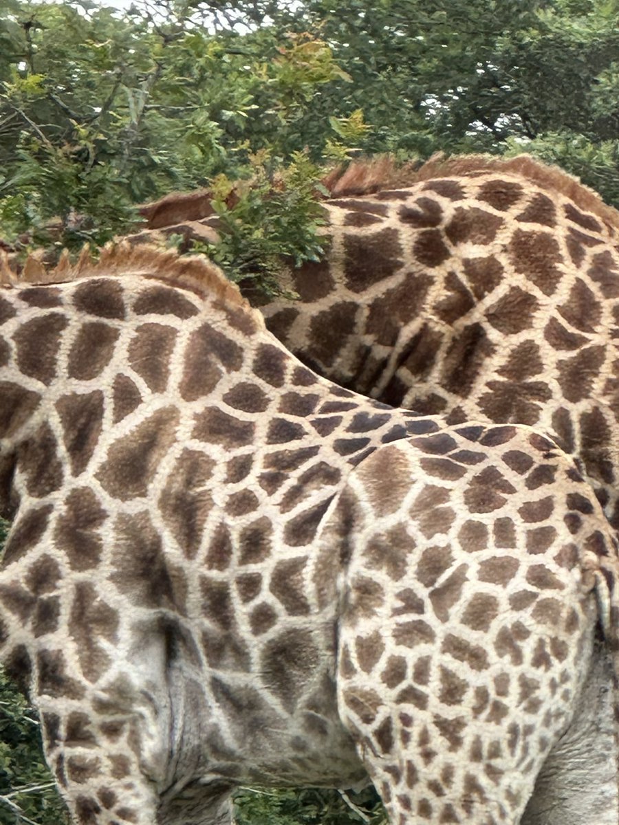 Kate Groch tweet media