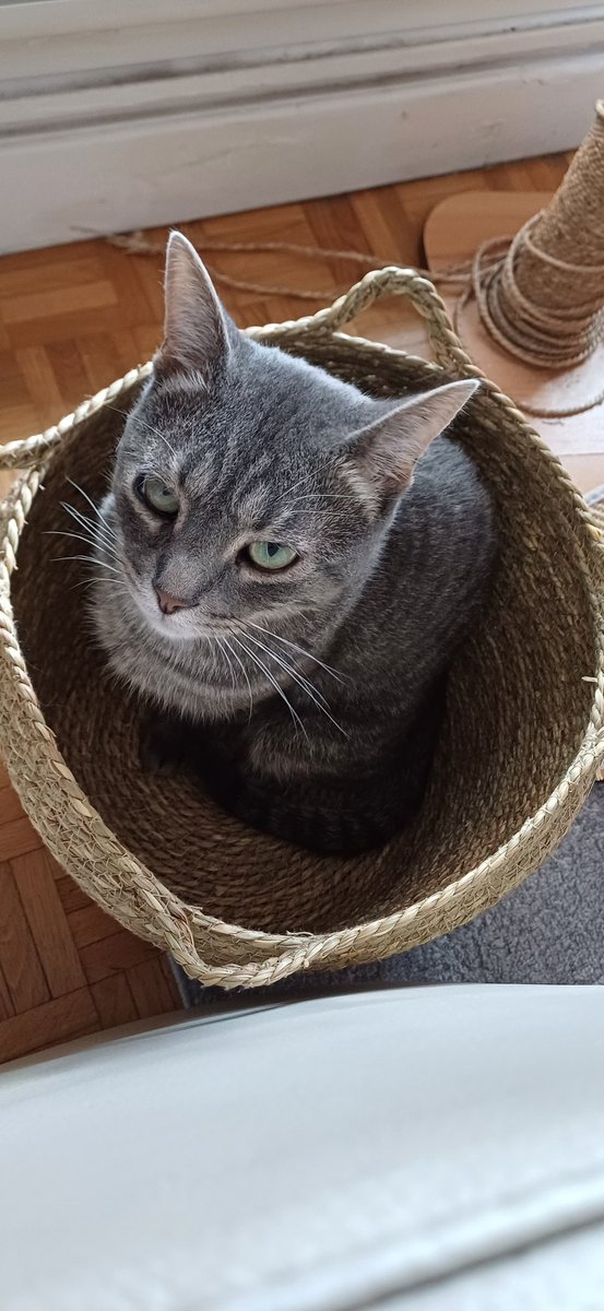 Pascale Boulet tweet media