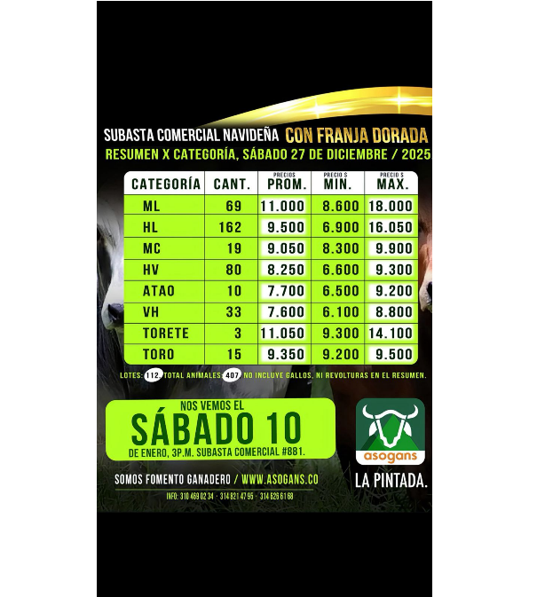 LocalPintada's tweet image. Precios de la última  subasta comercial navideña con franja dorada del mes de diciembre del 2025.
La invitación es para este sábado 10  de enero, sunasta comercial en la pintada Antioquia.
#Construyendoganadería @Fedegan @jflafaurie @PLPuertoBerrio
