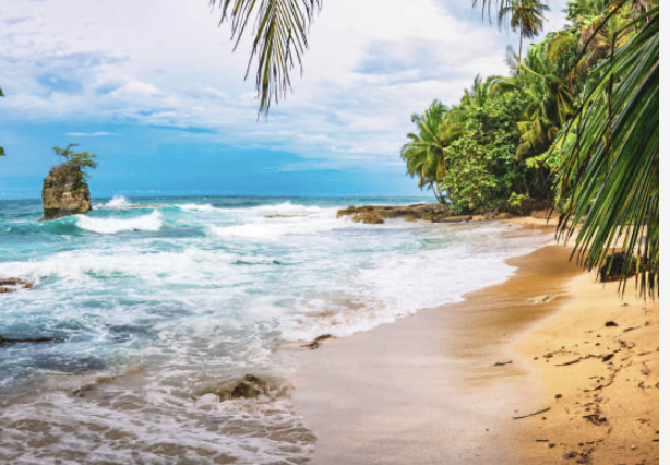 Margaretha Levander tweet media