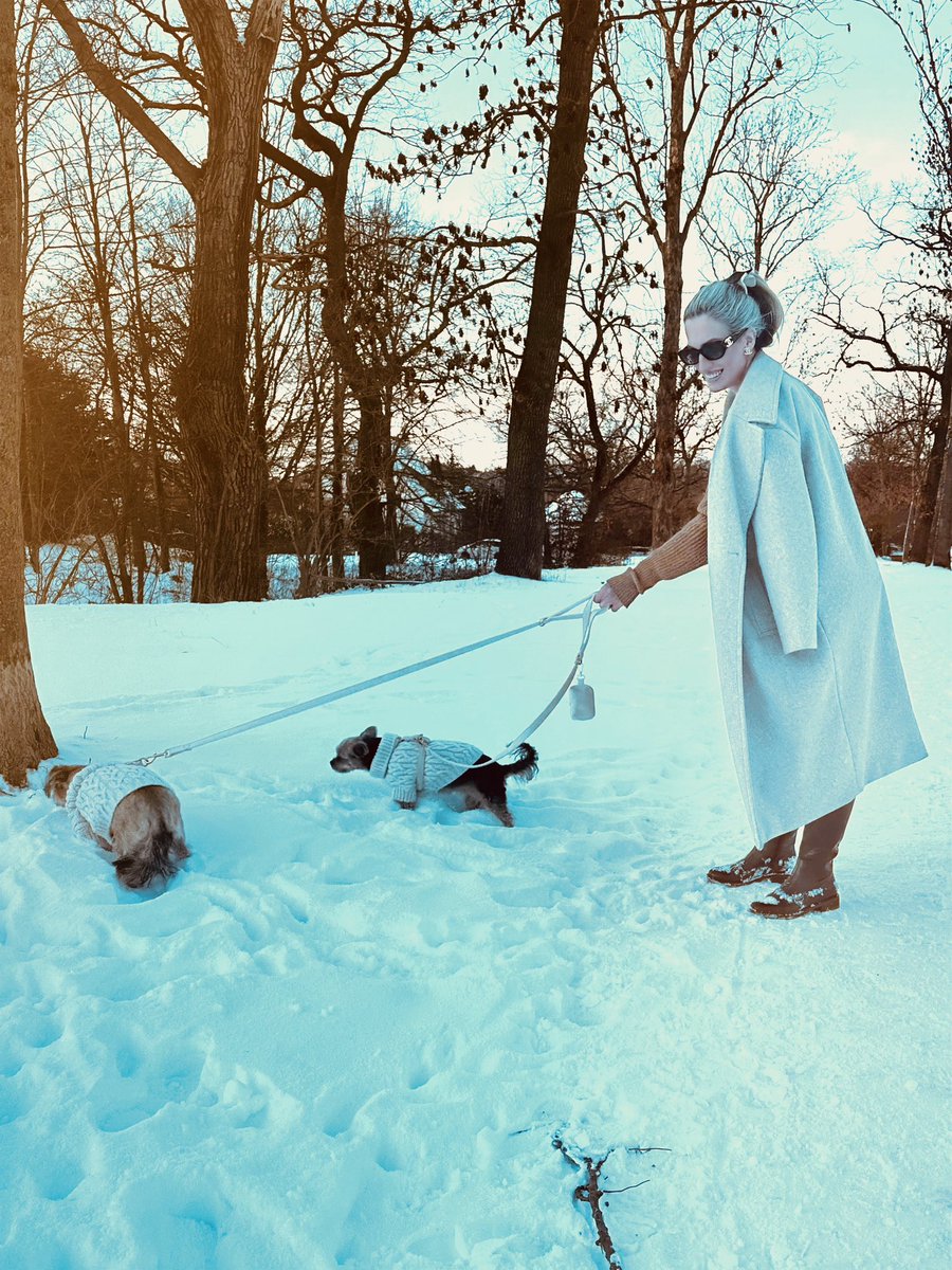 Anabel Schunke tweet media