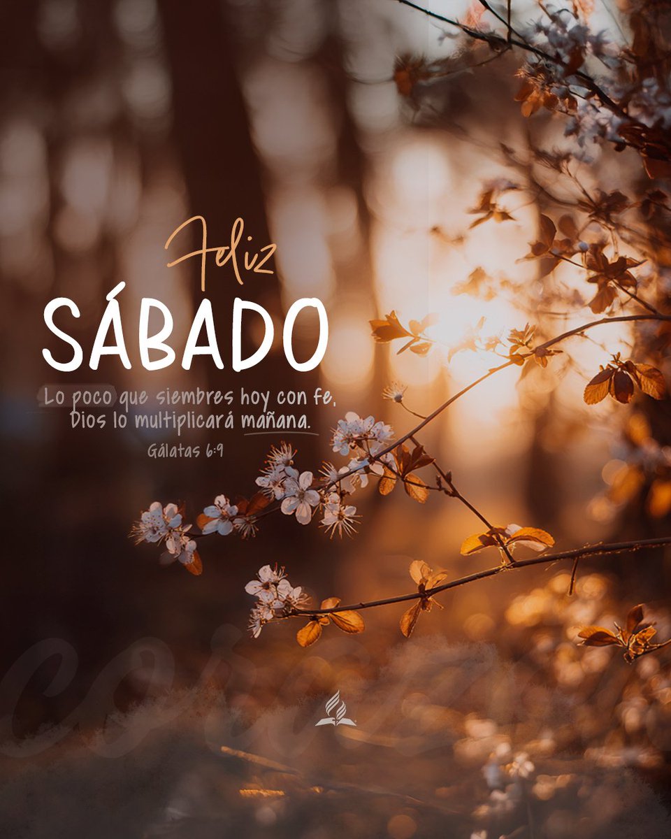 No te canses de hacer el bien 💞. Aunque hoy no veas resultados, Dios sí los ve. La cosecha llega a su tiempo cuando permanecemos fieles. ¡Feliz Sábado!
.
📖 “No nos cansemos, pues, de hacer bien; porque a su tiempo segaremos, si no desmayamos.” Gálatas 6:9

#FelizSabado