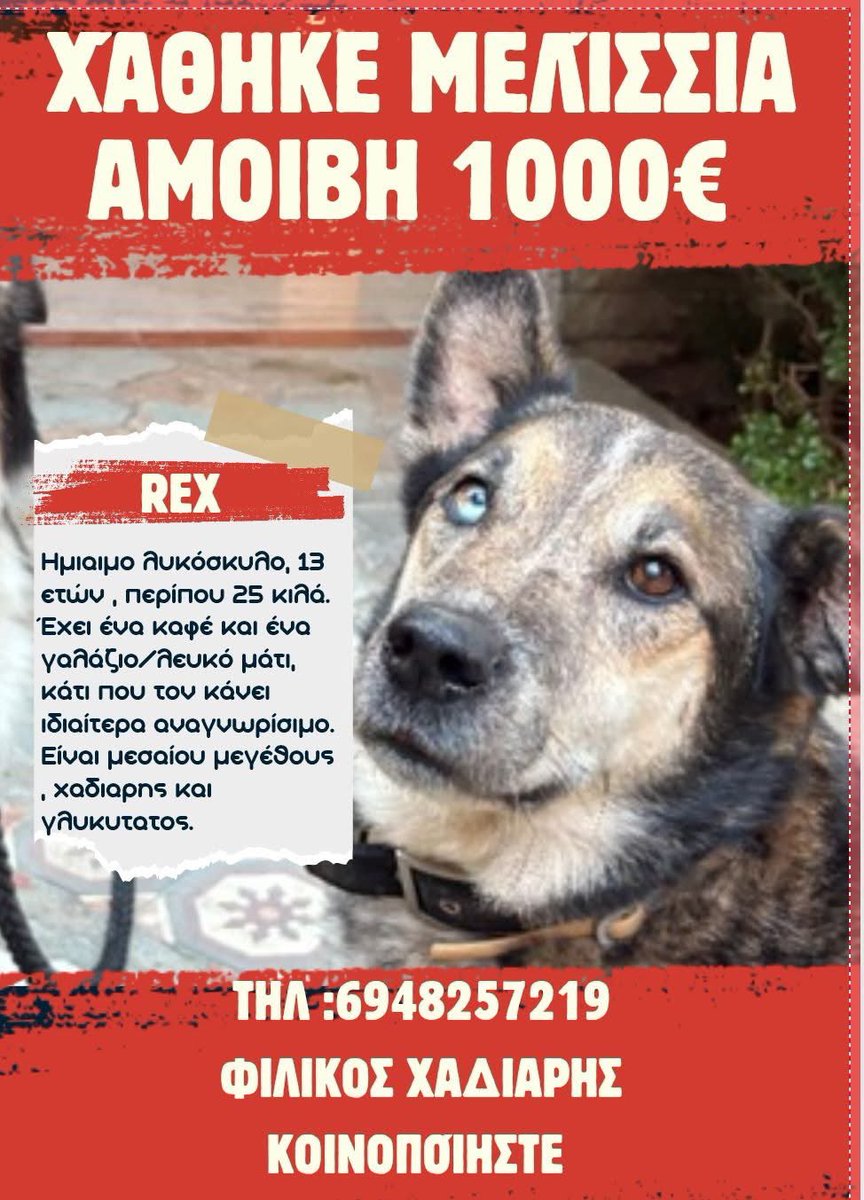 Rika Passa (@rikoulini) on Twitter photo 