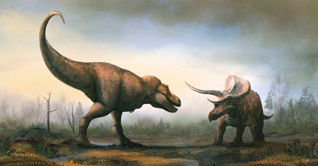 PNASNews's tweet photo. Can #paleontologists pinpoint the dawn of the #dinosaurs? Researchers are uncovering the early evolutionary steps that set the stage for their impressive reign. A PNAS News Feature: https://t.co/d4AJtE2Afo
#Lewisuchus #Triassic #Silesaurus #ornithischians #extinction https://t.co/JQYkuYm5zD