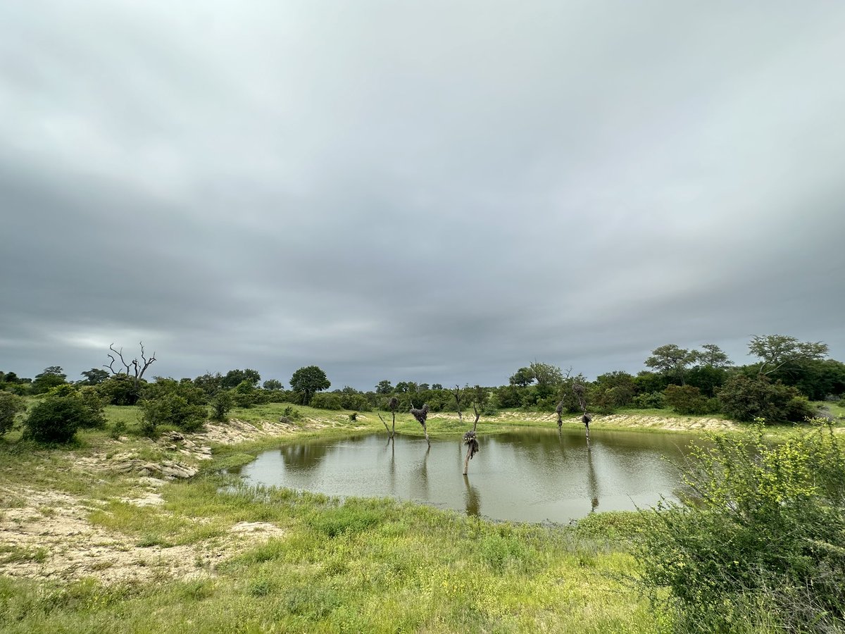 Kate Groch tweet media