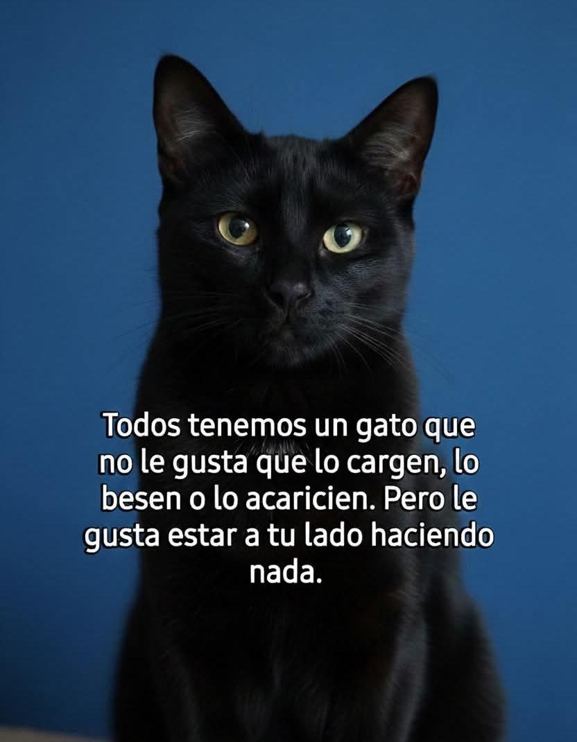 ile0719's tweet image. En mi caso se llama Perlita 😃 ...y el tuyo?