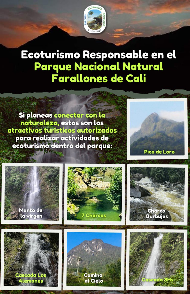 Parque Nacional das Sempre-Vivas (@parquesemprevivas) • Instagram photos  and videos, image size:776x1200
