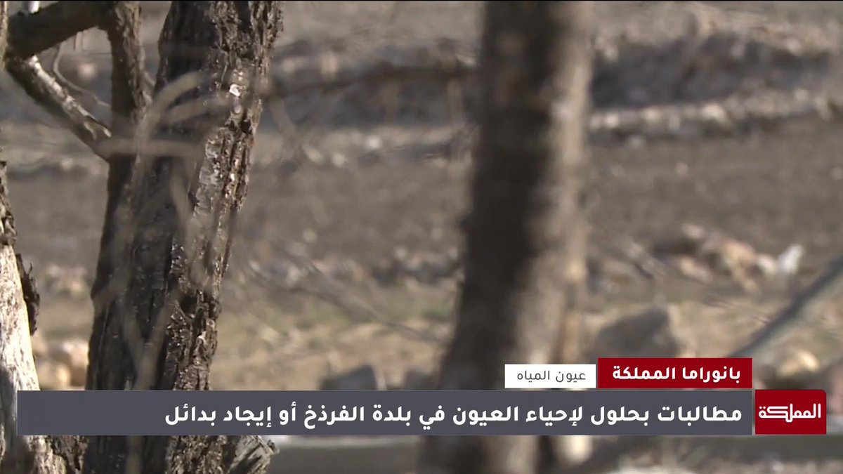 جفاف عيون المياه في بلدة الفرذخ في معان.. والأهالي يطالبون بحفر آبار وإيجاد بدائل تُعيد الغطاء الأخضر وتروي المزروعات #معان 