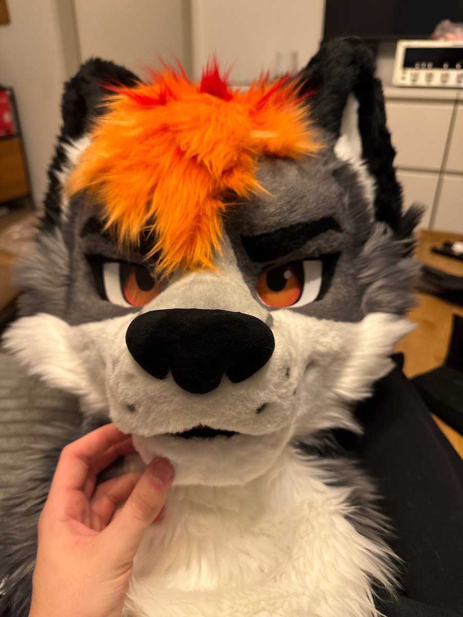 KaidaWulf's tweet image. Chappie is here❤️

@furmony