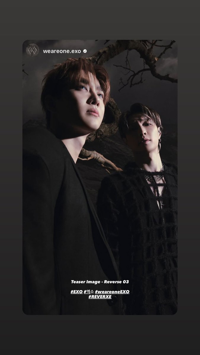 EXOレイ(张艺兴)20枚セット LAY #Layzhang #ZhangYixing #张艺兴 #レイ #EXO #EXOLay