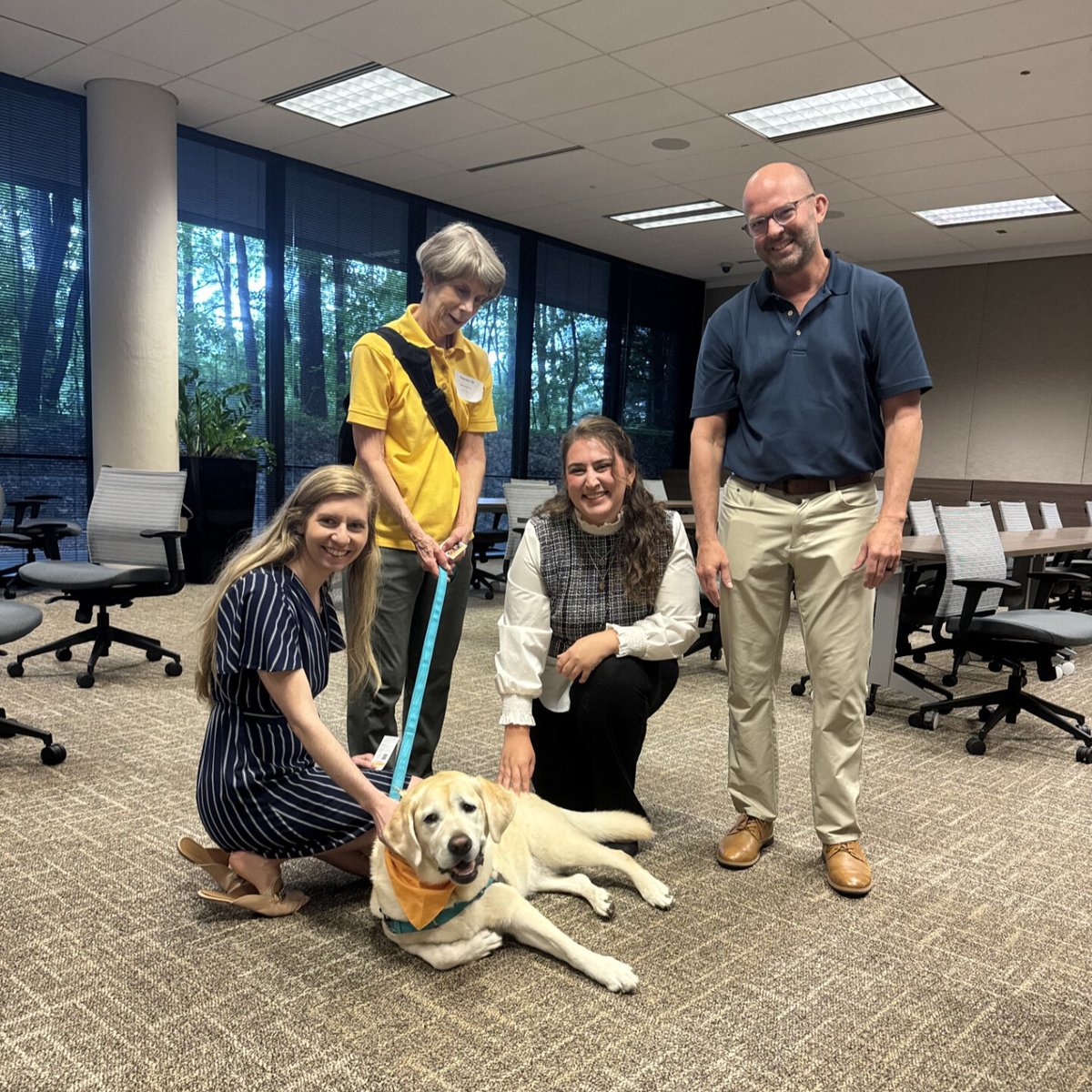 Hand in Paw tweet media