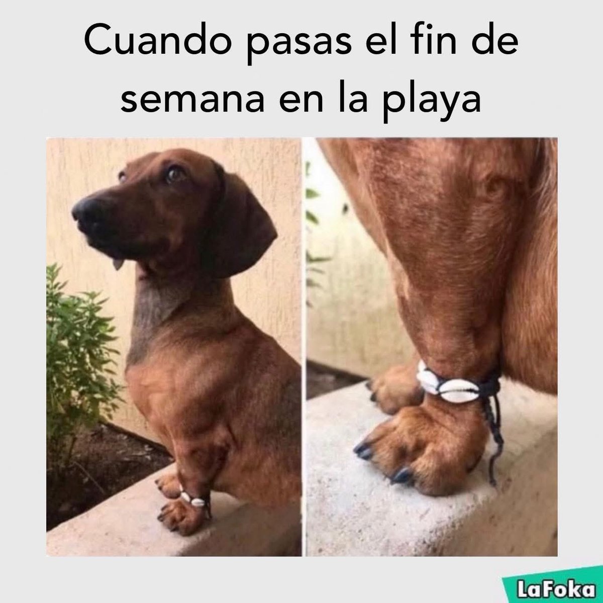 El Meme (@memessv7) on Twitter photo 