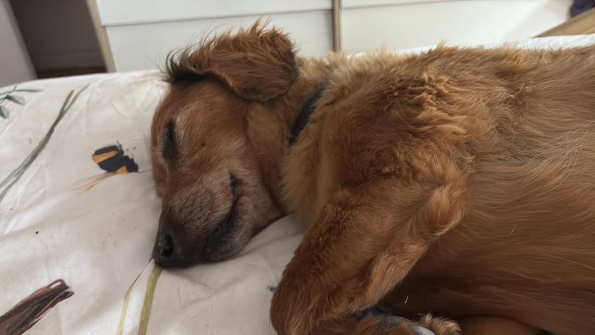 36,8 y siento que soy otra persona. La misma de antes, pero mejor, porque ya no me siento enferma. 
Mi enfermero, por otra parte, sigue durmiendo.